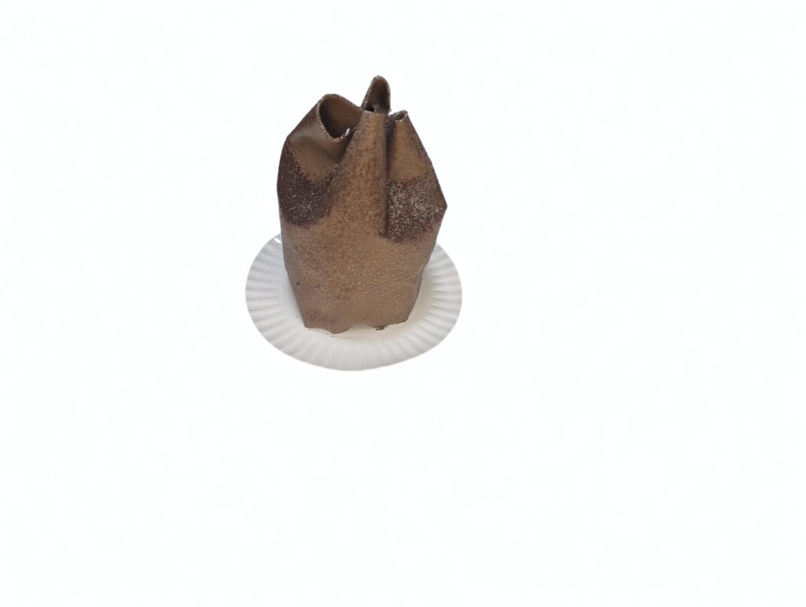 Forest Pocket